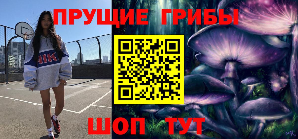 Псилоцибиновые грибы мицелий Ефремов